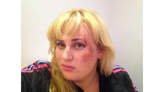Illustration for article titled Rebel Wilson Throws Down With Some Mean Feral Cats